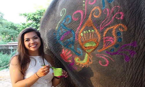 Elephant-Painting-In-Jaipur